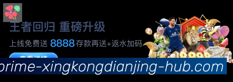 企业概况
